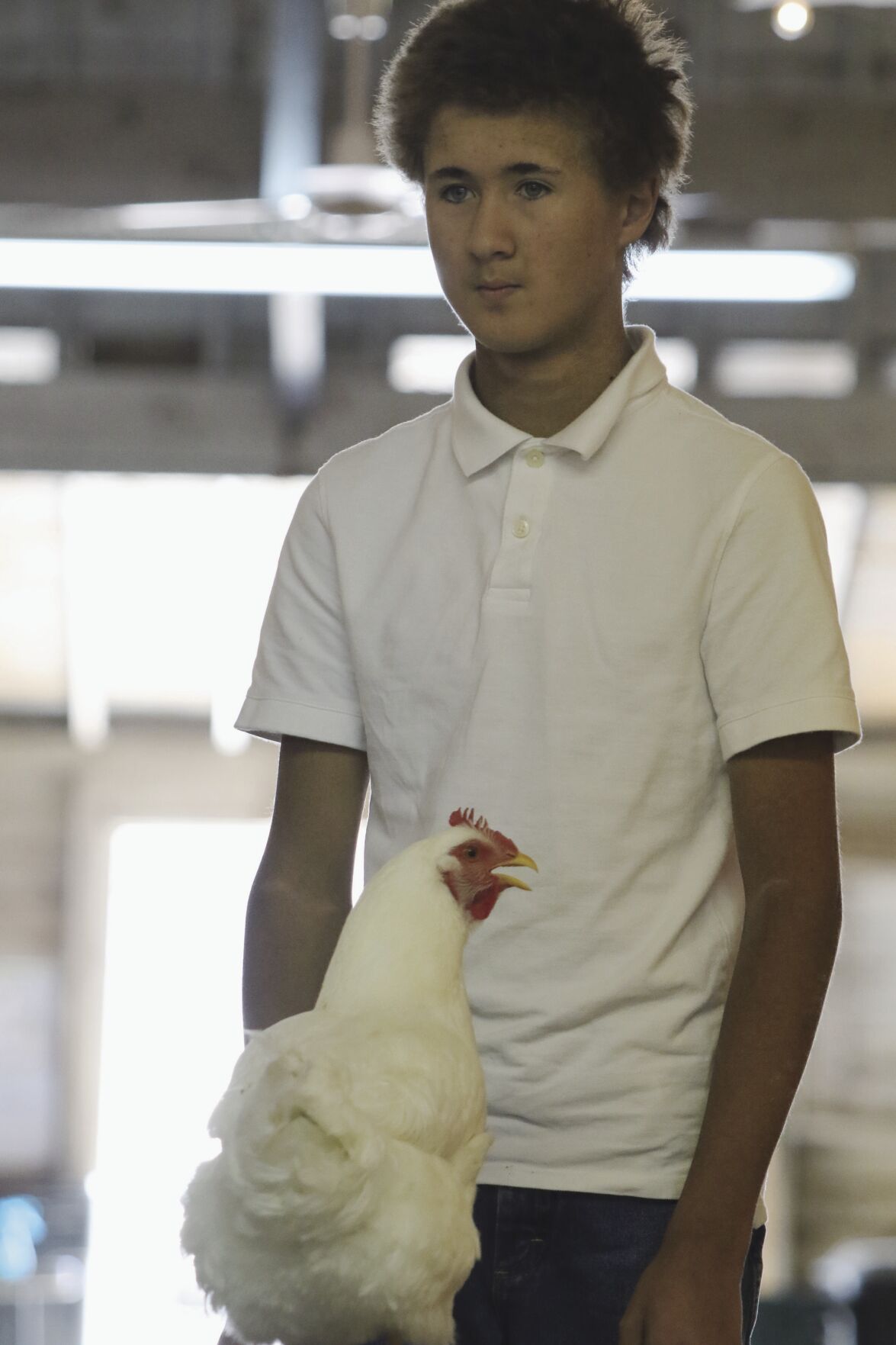 PHOTOS: Poultry Show at Scotts Bluff County Fair 2020